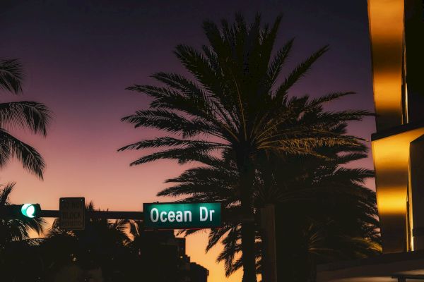 A street sign reading "Ocean Dr" with palm trees and lights in the background during dusk or evening time.