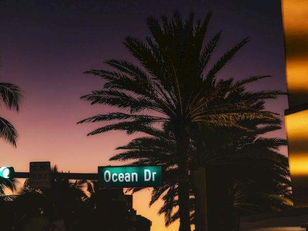 A street sign reading "Ocean Dr" with palm trees and lights in the background during dusk or evening time.